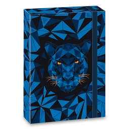 Füzetbox A/5 ARS UNA Black Panther Tigris