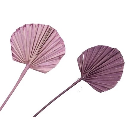 Szárított pálmalevél 10db/csomag lilás színek