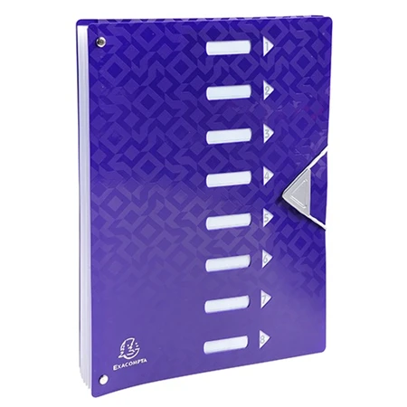 Aláírókönyv Exacompta Offix műanyag 8 részes kapcsos vegyes színek Előrendező