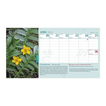 Asztali naptár 2026 TOPTIMER Gyógyító természet T058 álló