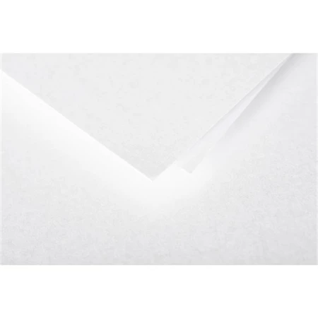 Boríték Clairefontaine Pollen LA/4 11x22cm 120gr papír, szilikonos irizáló fehér