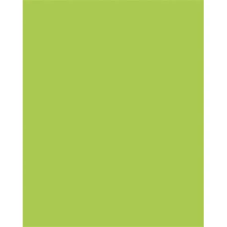 Dekor karton FOLIA A/4 130gr május zöld 100db/cs