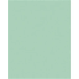 Dekor karton FOLIA A/4 130gr menta 100db/cs