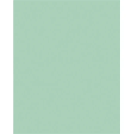 Dekor karton FOLIA A/4 130gr menta 100db/cs
