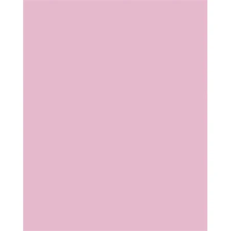 Dekor karton FOLIA A/4 130gr világos rózsaszín 100db/cs
