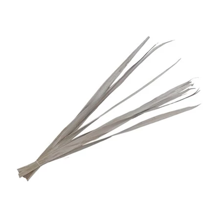 Dekoráció Pálmalevél szárított köteg 80-95 cm fehér 10db/csomag
