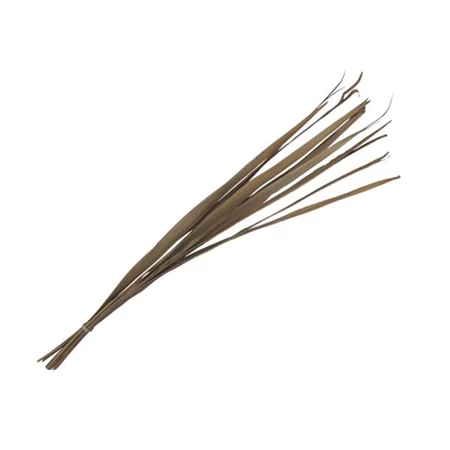 Dekoráció Pálmalevél szárított köteg 80-95 cm natúr 10db/csomag