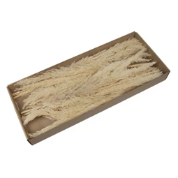 Dekoráció Pampafű csokor dobozban 60-65 cm fehér 6db/csomag