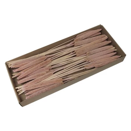 Dekoráció Szárazvirág csokor dobozban 70-75 cm mályva 6db/csomag