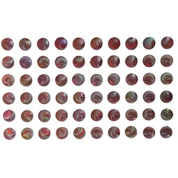 Dekoráció strasszkő öntapadós kör, kagyló forma, irrizáló