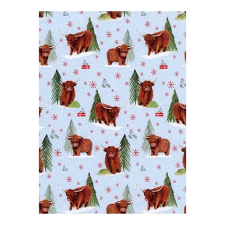 Díszcsomagoló papír 70x200cm Clairefontaine/Eurowrap tekercses 57g karácsonyi vegyes minták