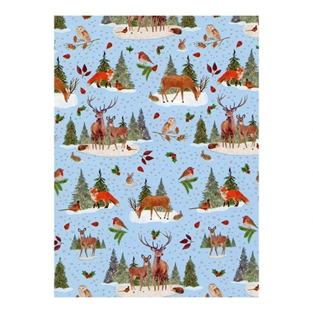 Díszcsomagoló papír 70x200cm Clairefontaine/Eurowrap tekercses 57g karácsonyi vegyes minták