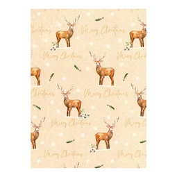 Díszcsomagoló papír 70x200cm Clairefontaine/Eurowrap tekercses 57g karácsonyi vegyes minták