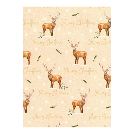 Díszcsomagoló papír 70x200cm Clairefontaine/Eurowrap tekercses 57g karácsonyi vegyes minták