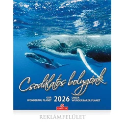 Falinaptár 2026 CSG 21x32 cm Csodálatos bolygónk, magyar ünnep és névnapokkal