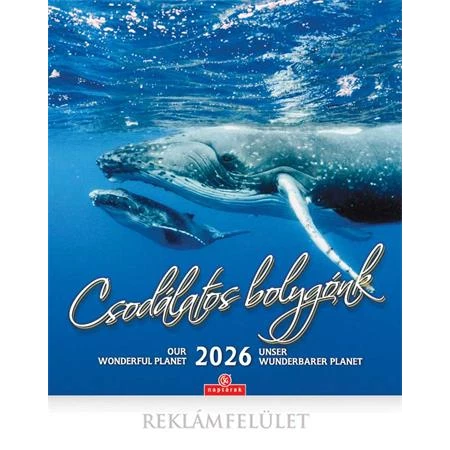 Falinaptár 2026 CSG 21x32 cm Csodálatos bolygónk, magyar ünnep és névnapokkal