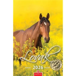 Falinaptár 2026 CSG 21x32 cm Lovak, magyar ünnep és névnapokkal