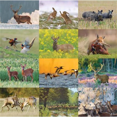 Falinaptár 2026 CSG 33x45 cm Vadász a Kárpát-medencében, magyar ünnep és névnapokkal