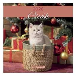 Falinaptár 2026 LIZZY álló Cicák