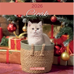 Falinaptár 2026 Lizzy lemez 30x30cm Cicák