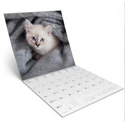 Falinaptár 2026 Lizzy lemez 30x30cm Cicák