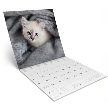 Falinaptár 2026 Lizzy lemez 30x30cm Cicák