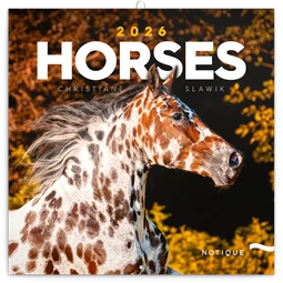 Falinaptár 2026 REAL lemez Horses 30x30cm