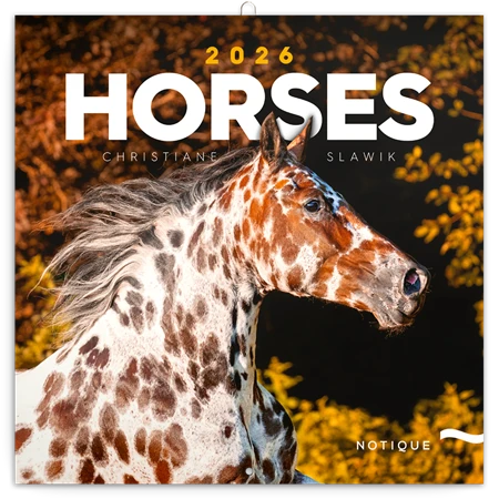 Falinaptár 2026 REAL lemez Horses 30x30cm