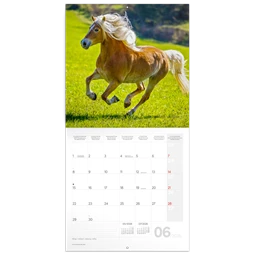 Falinaptár 2026 REAL lemez Horses 30x30cm