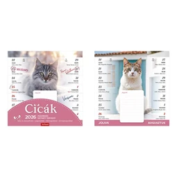 Falinaptár 2026 TOPTIMER T090 220x220mm Cicák, mágneses kétheti