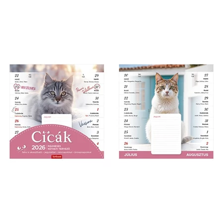 Falinaptár 2026 TOPTIMER T090 220x220mm Cicák, mágneses kétheti