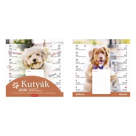Falinaptár 2026 TOPTIMER T090 220x220mm Kutyák, mágneses kétheti