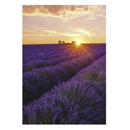 Falinaptár 2026 TOPTIMER T092 315x450mm álló Provence