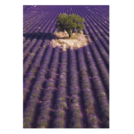Falinaptár 2026 TOPTIMER T092 315x450mm álló Provence