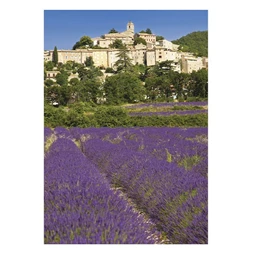 Falinaptár 2026 TOPTIMER T092 315x450mm álló Provence
