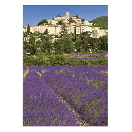 Falinaptár 2026 TOPTIMER T092 315x450mm álló Provence
