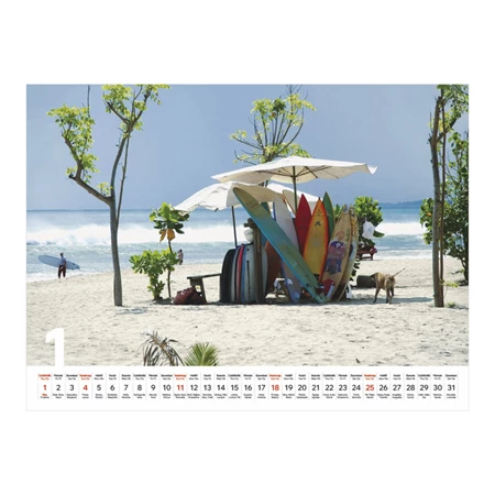 Falinaptár 2026 TOPTIMER T093 310x420mm Beach