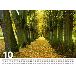 Falinaptár 2026 TOPTIMER T093 310x420mm Sétány