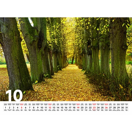 Falinaptár 2026 TOPTIMER T093 310x420mm Sétány