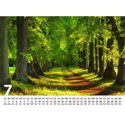 Falinaptár 2026 TOPTIMER T093 310x420mm Sétány