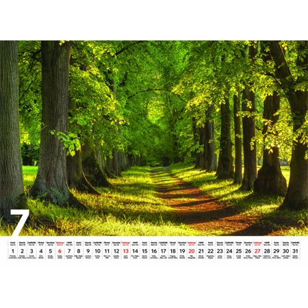 Falinaptár 2026 TOPTIMER T093 310x420mm Sétány
