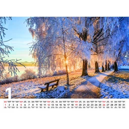 Falinaptár 2026 TOPTIMER T093 310x420mm Sétány