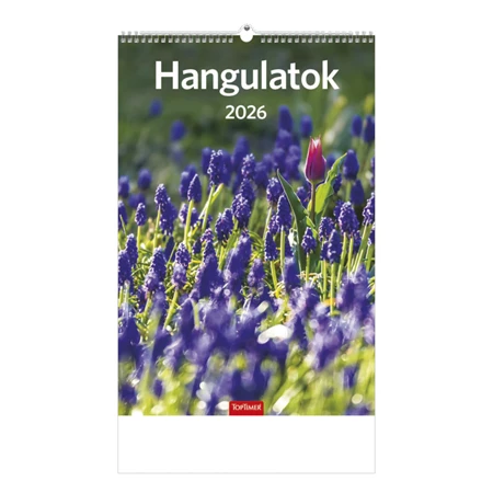 Falinaptár 2026 TOPTIMER T094 220x330mm álló Hangulatok