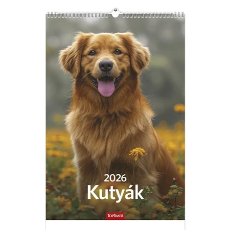 Falinaptár 2026 TOPTIMER T094 220x330mm álló Kutyák