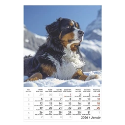 Falinaptár 2026 TOPTIMER T094 220x330mm álló Kutyák