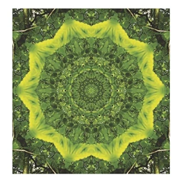 Falinaptár 2026 TOPTIMER T094 220x330mm álló Mandala