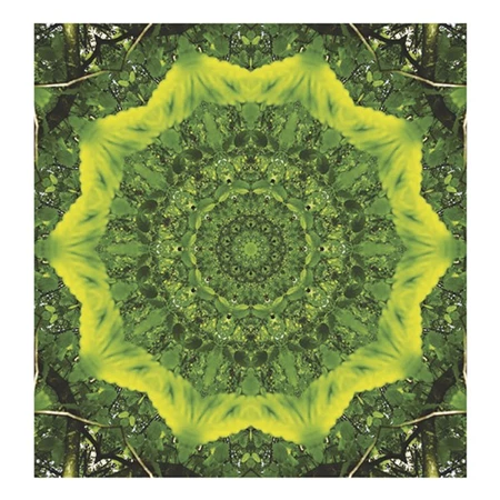 Falinaptár 2026 TOPTIMER T094 220x330mm álló Mandala