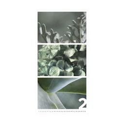 Falinaptár 2026 TOPTIMER T095 315x630mm Colors of Nature