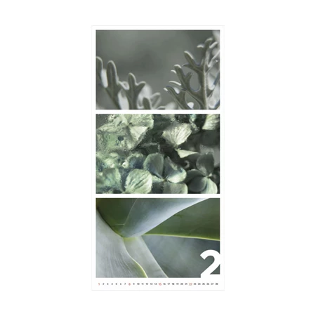 Falinaptár 2026 TOPTIMER T095 315x630mm Colors of Nature