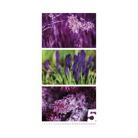 Falinaptár 2026 TOPTIMER T095 315x630mm Colors of Nature
